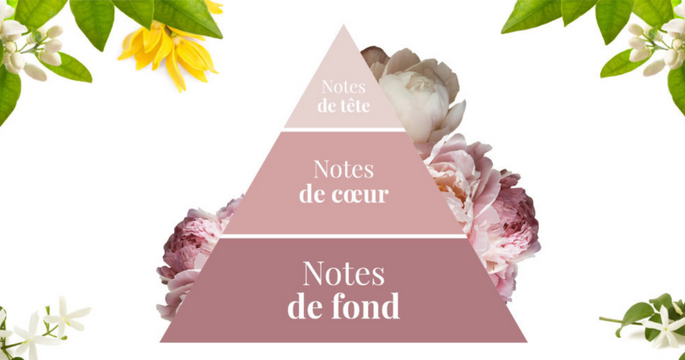 pyramide des notes de parfum