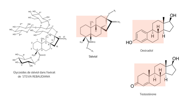 molécule de stevia similaire aux hormones sexuelles